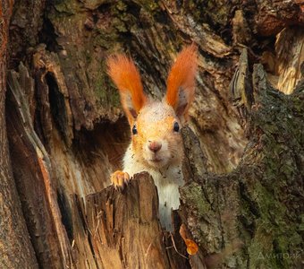 Утро выходного дня