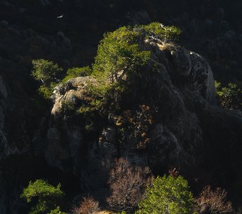 Полёт над Долиной привидений