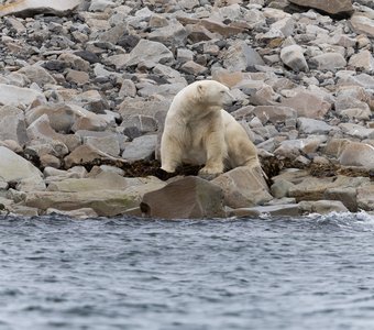 УМИРОТВОРЕНИЕ