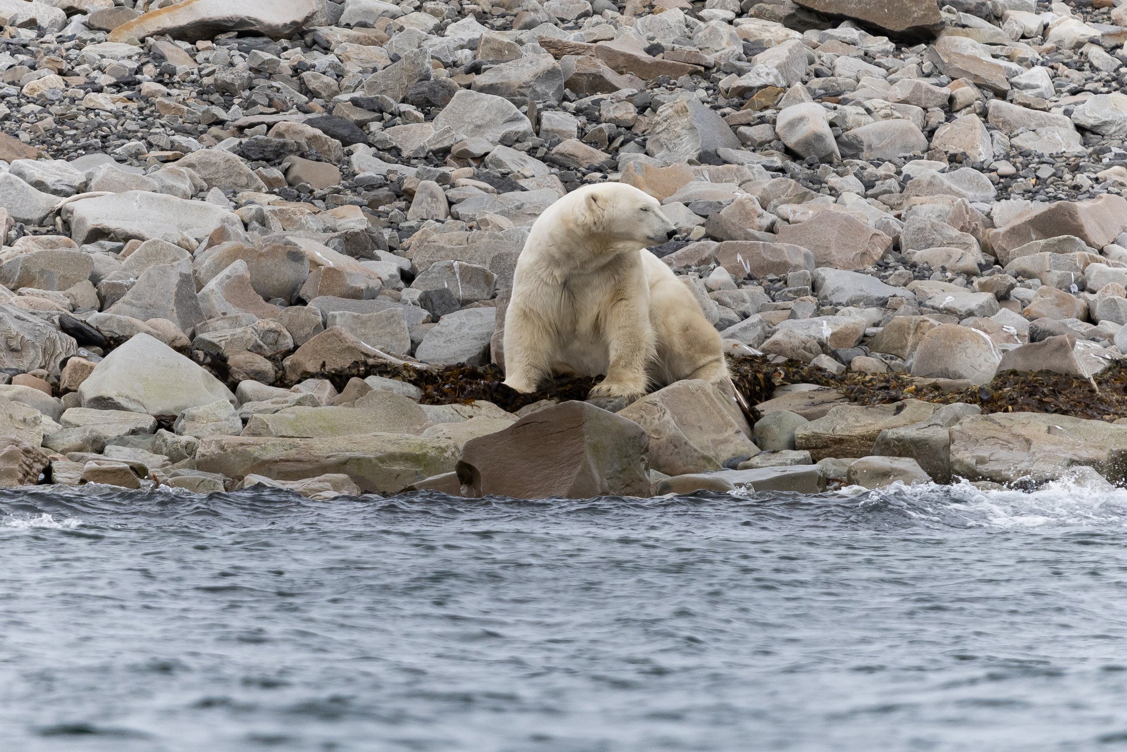 Умиротворение