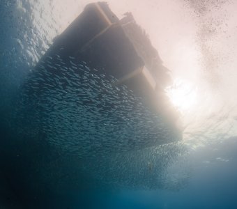 Много солнца в теплой воде...
