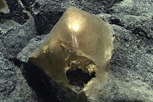 Ученые обнаружили на дне океана загадочный золотой шар