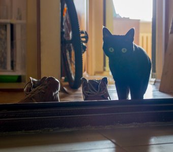 "Встреча у порога"