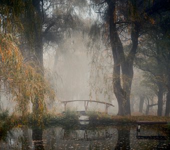 Мост через форелевый пруд