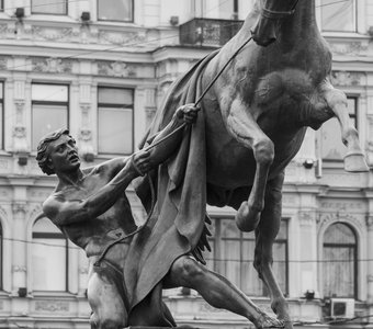 Один из способов остановить коня