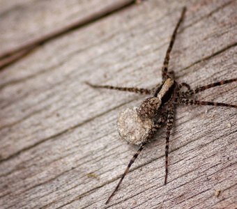 Заботливая мама