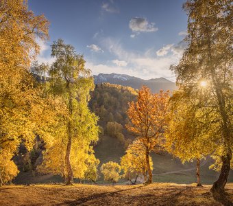 Осенний театр