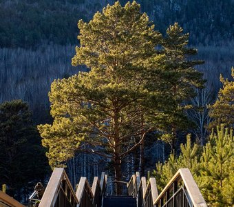 Вид с Торгашинского хребта, Красноярск