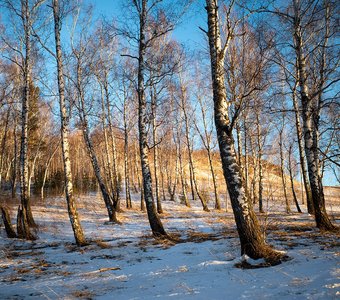 На Торгашинском хребте, Красноярск