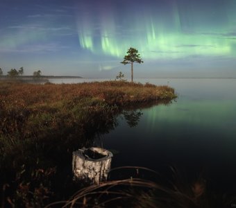 Танец Авроры под светом Луны