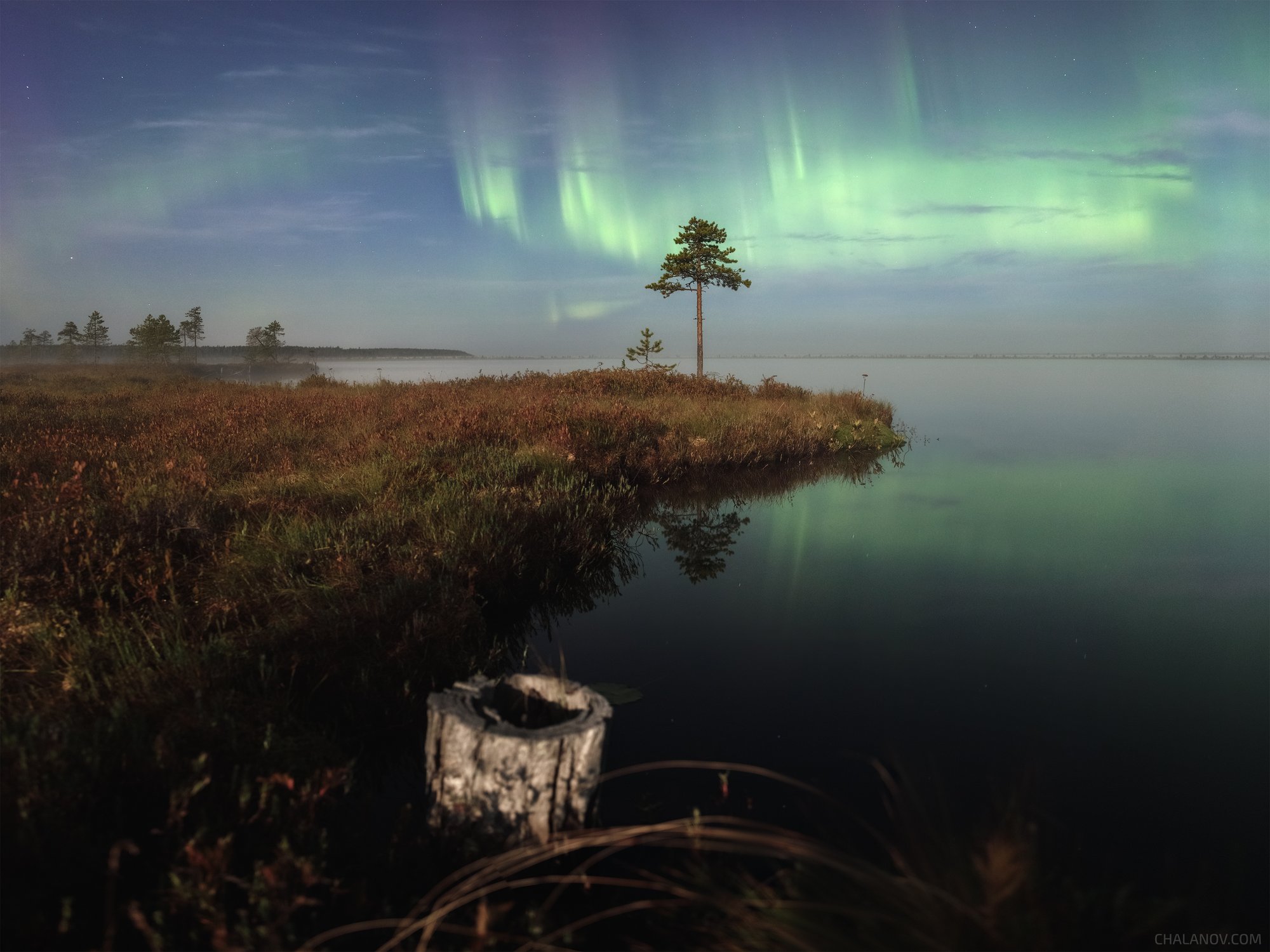 Танец Авроры под светом Луны