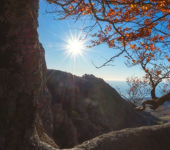 В лучах утреннего солнца
