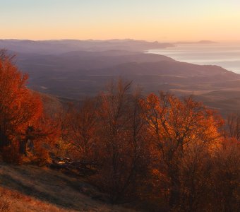 Панорама осень