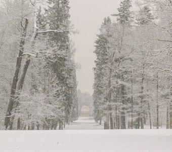 Дворцовый парк Гатчины во время снегопада