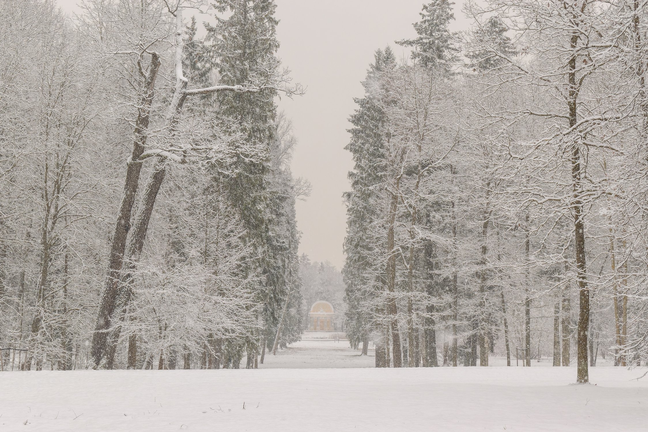 Дворцовый парк Гатчины во время снегопада