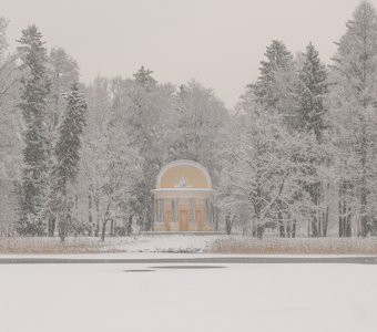 Дворцовый парк Гатчины в снежном убранстве, 24.11.2025 г.