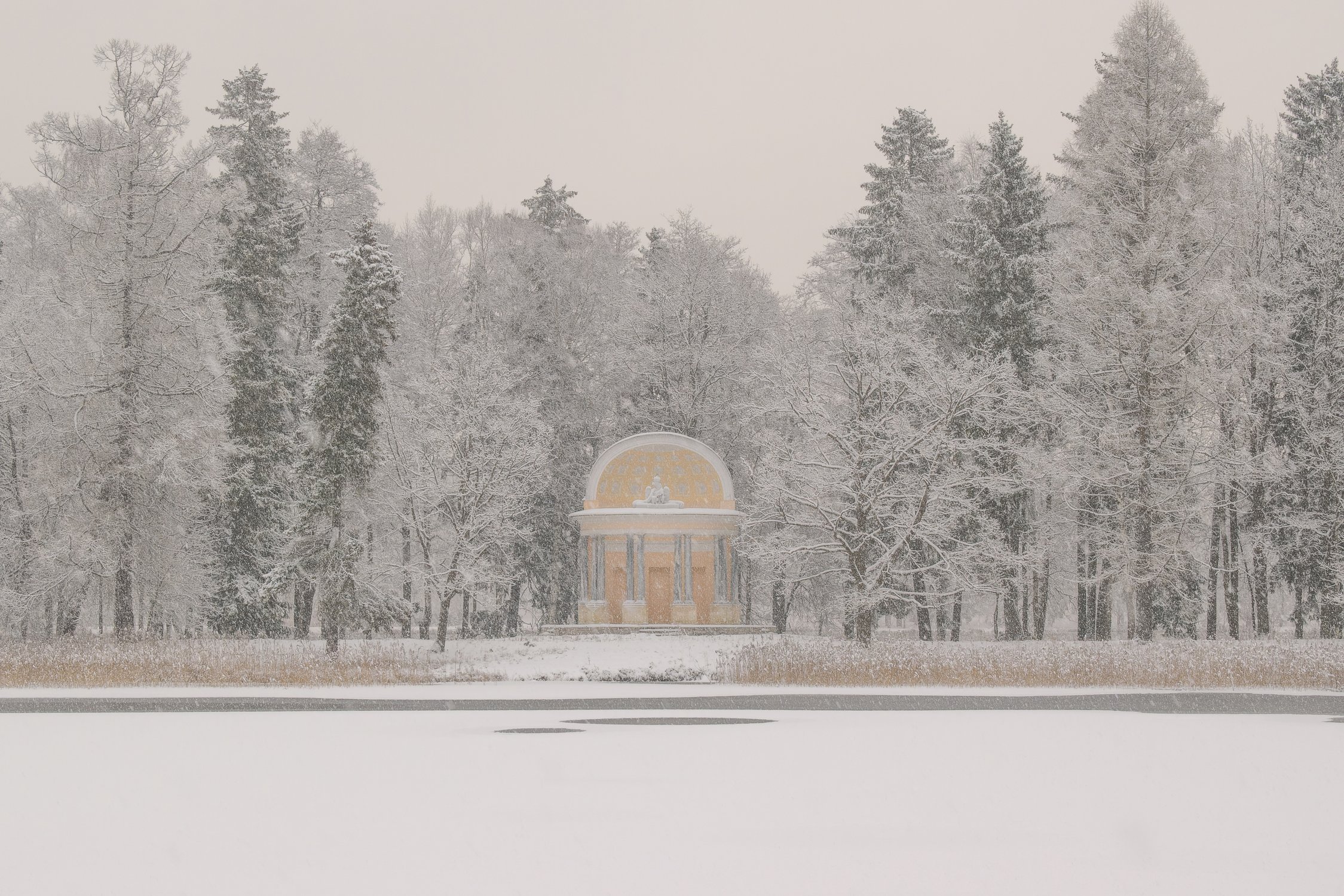 Дворцовый парк Гатчины в снежном убранстве, 24.11.2025 г.