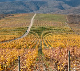 Ноябрь в Абрау-Дюрсо