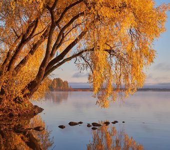 Золотая осень на Селигере
