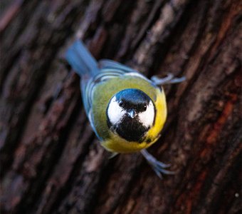 Эй, пацанчик, ты с какого района?