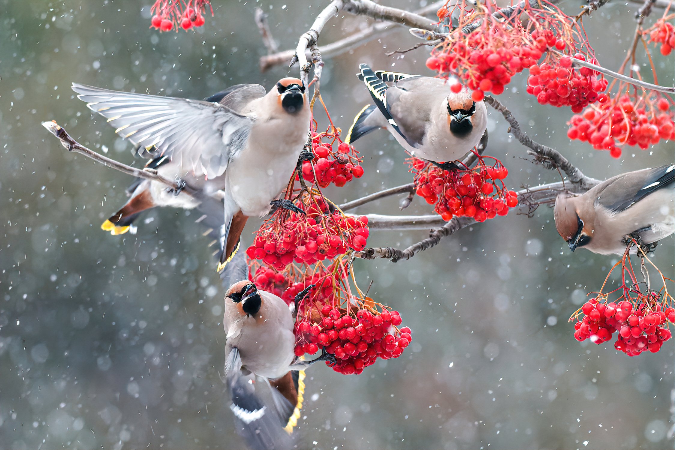 Пир на весь мир