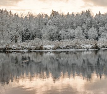 сНЕЖНОСТЬ некалендарной зимы дивным ноябрьским вечером