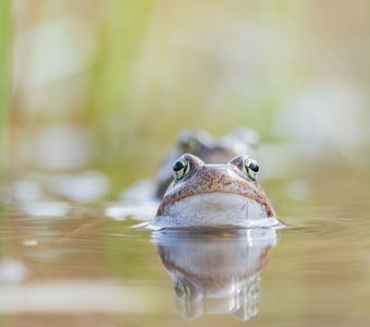 Он у меня за спиной?!