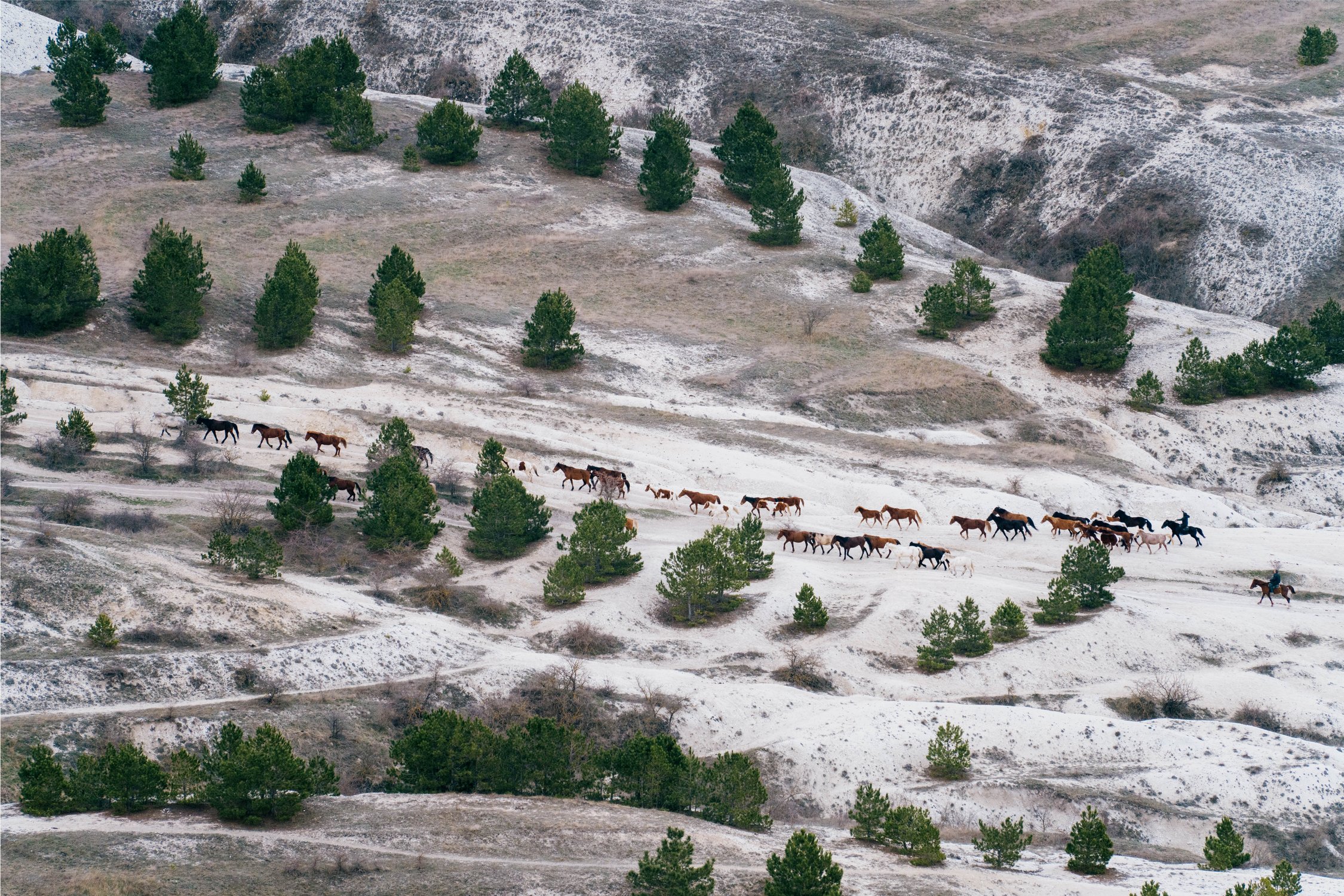 Вечерний выпас