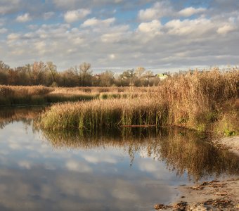 Осень в позитивном свете