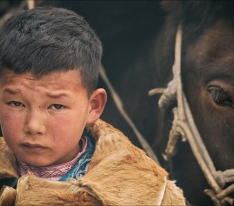 Молчаливый диалог