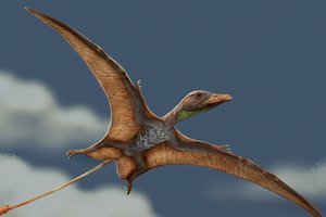 Птицы и птерозавры учились летать независимо друг от друга