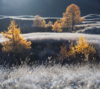 Цветовые контрасты