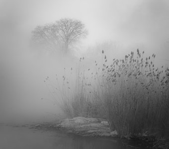 Туманное утро на канале Орловского водохранилища