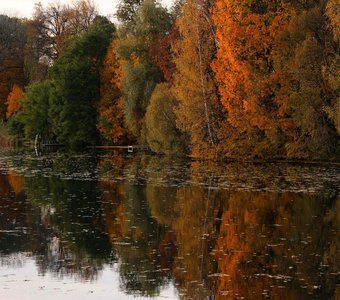 Деревня Неготино