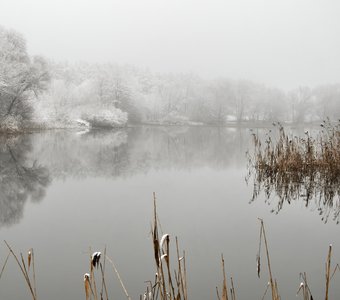 Туман и снег межсезонья