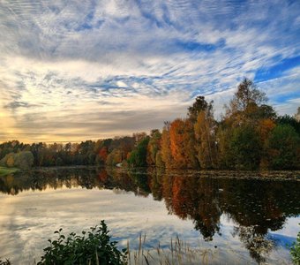 Деревня Неготино, Брянская область