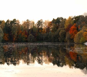 Деревня Неготино