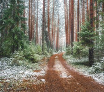 Приближение зимы