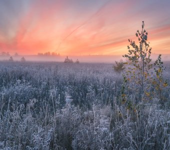 Красочный рассвет на серебряном поле