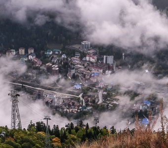 Туманные сны