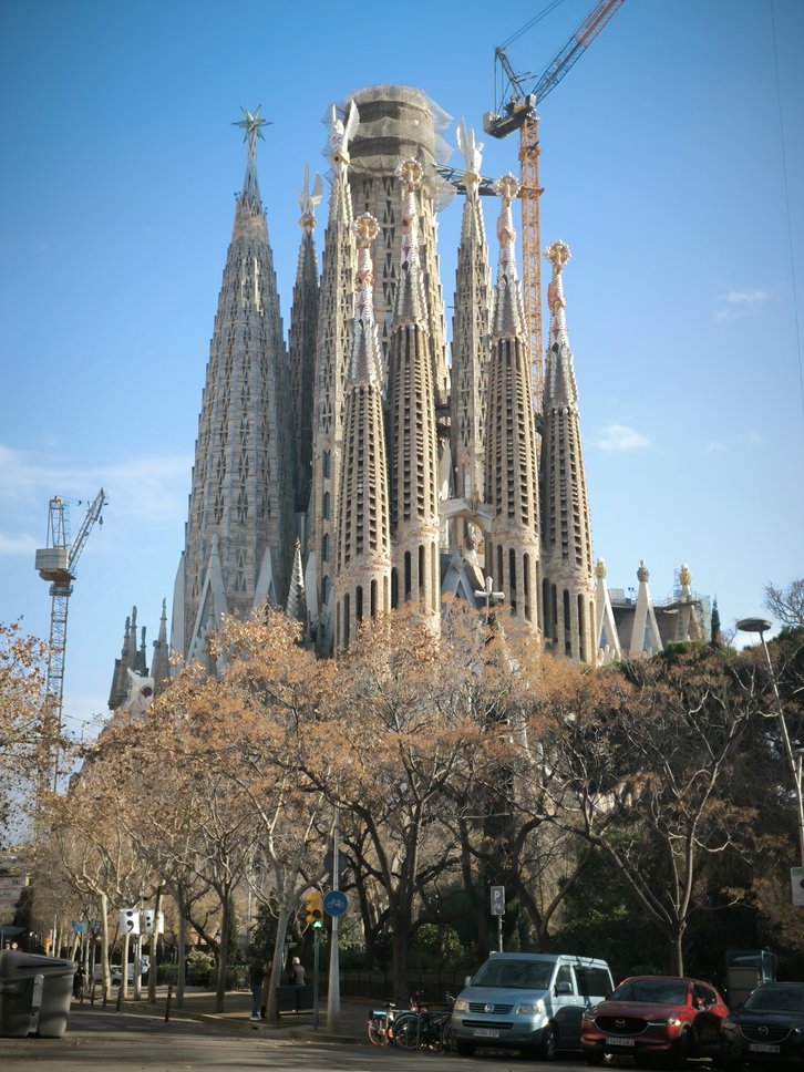 Фото: Reda Kerbush / Wikimedia Commons