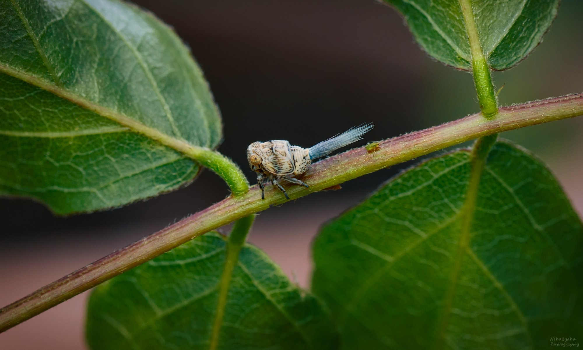 Пост сдал. Пост принял.