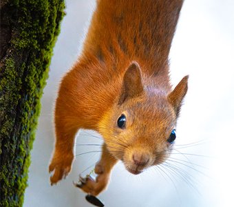 На расслабоне