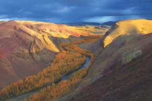 Золотой час: 3 снимка с нашего фотохостинга