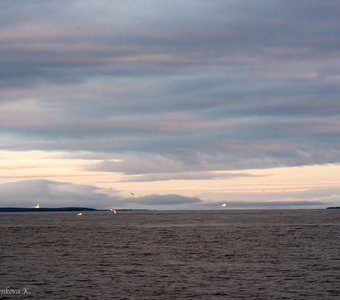 Баренцево море