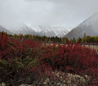 Восточный саян