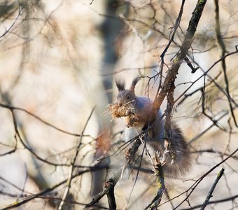 Стройка в разгаре