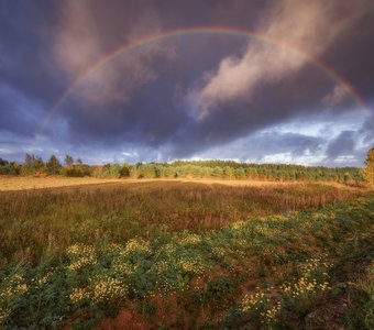 Радуга-дуга