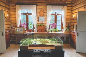 Выходные: Тульская область