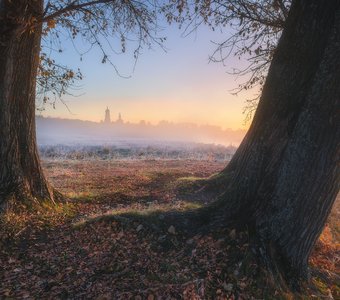 Октябрьский рассвет с тополями